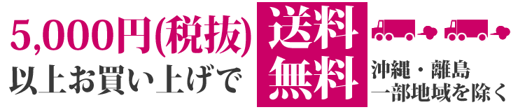 ご購入のお客様に送料サービス!　5,000円（税抜）以上のお買い上げで500円送料サービス!　10,000円（税抜）お買い上げで送料無料